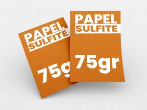 Impressão Papel Sulfite 75gr Papel Sulfite 75gr A4 => 21 x 29,7 4/0 - Frente Colorida e verso Branco | 4/4 - frente e verso colorido   Encadernação